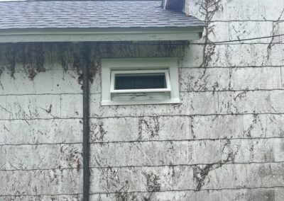 vent window